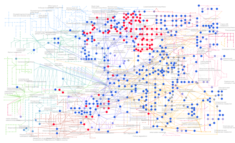 cell metabolism2