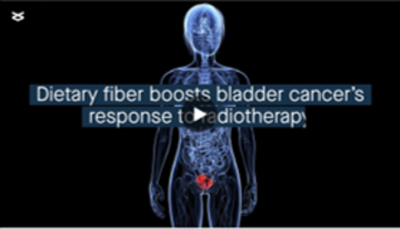 dietary fibre
